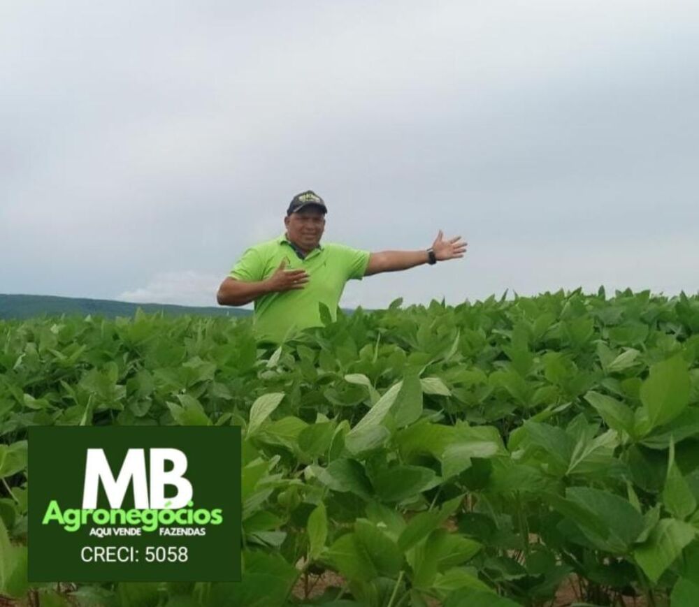 Fazenda, 970 hectares - Foto 7