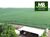 Fazenda, 970 hectares - Foto 1