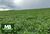 Fazenda, 970 hectares - Foto 5