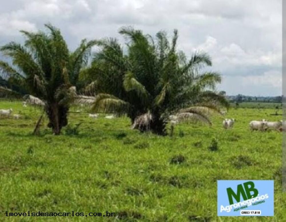Fazenda à venda, 1100000m² - Foto 1