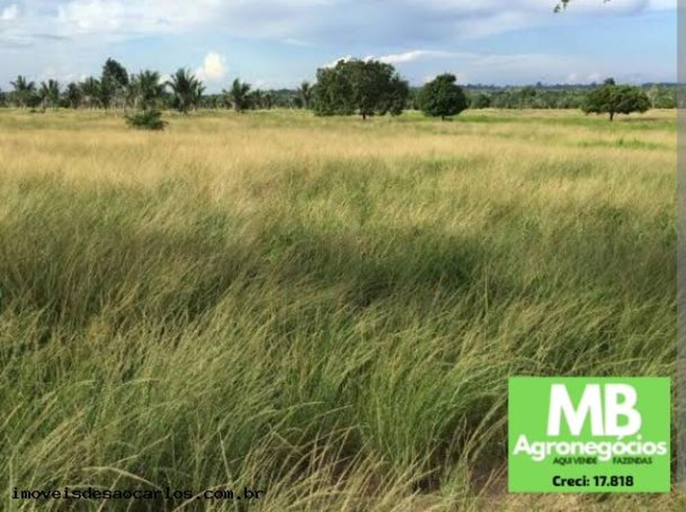 Fazenda à venda, 16500000m² - Foto 4