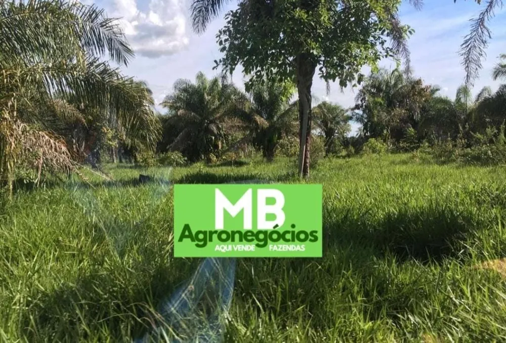 Fazenda, 200 m² - Foto 6