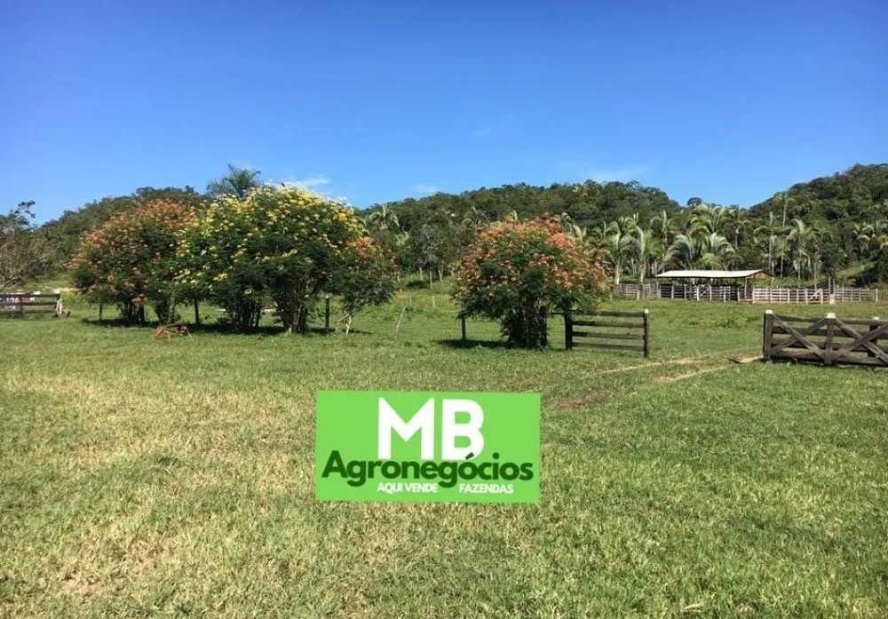 Fazenda, 200 m² - Foto 3