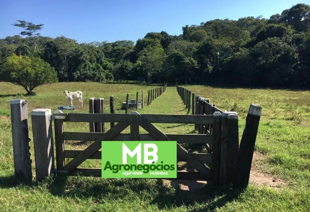 Fazenda, 200 m² - Foto 5