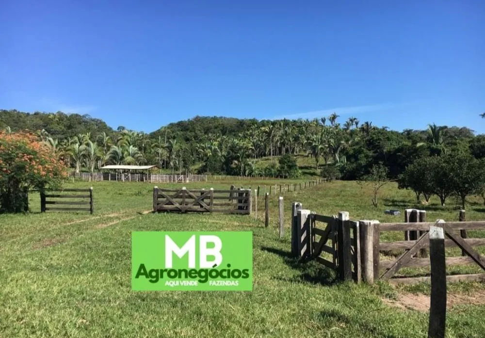 Fazenda, 200 m² - Foto 4