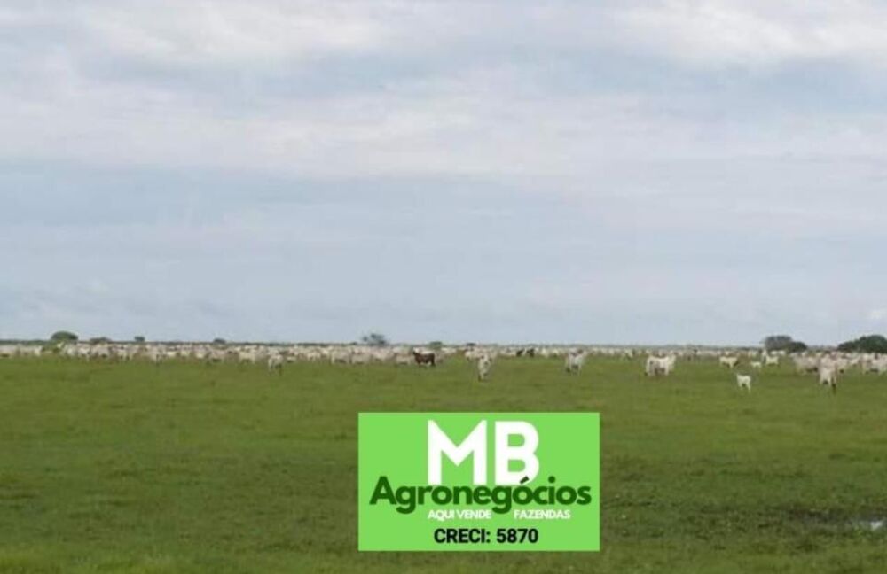 Fazenda à venda, 55000000m² - Foto 4