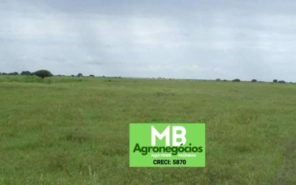 Fazenda à venda, 55000000m² - Foto 1
