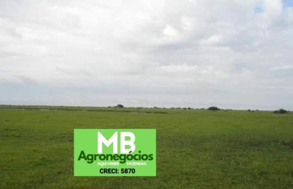 Fazenda à venda, 55000000m² - Foto 5