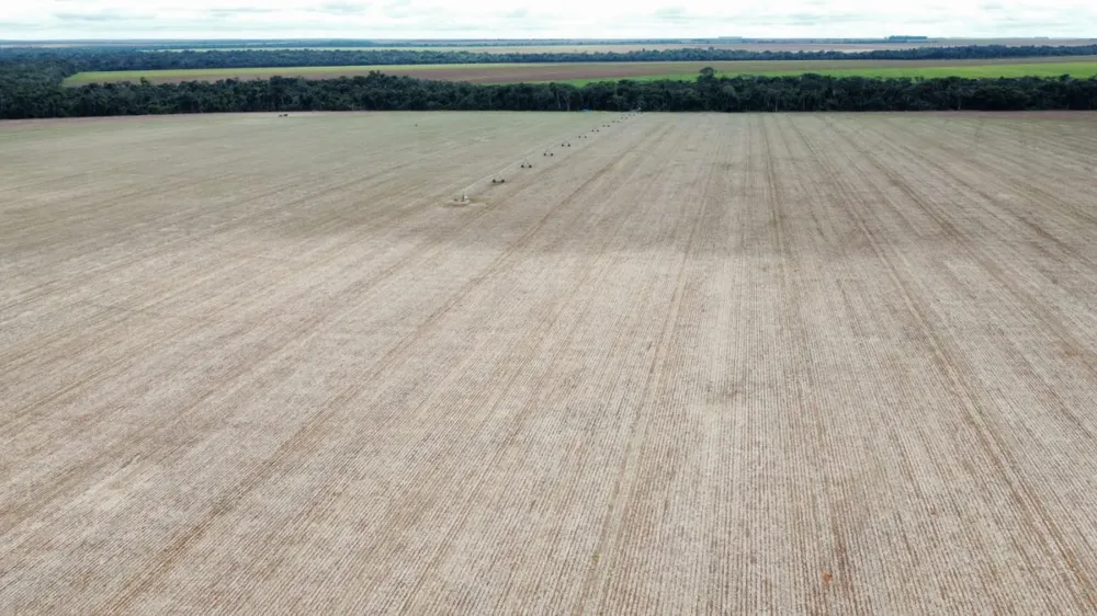 Fazenda, 672 hectares - Foto 7