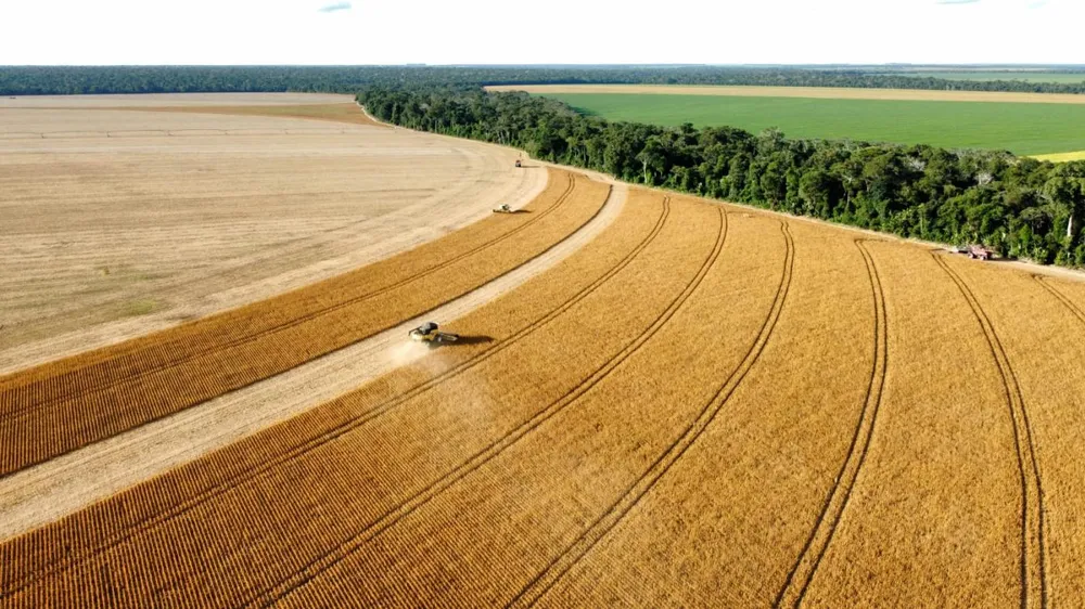 Fazenda, 672 hectares - Foto 4