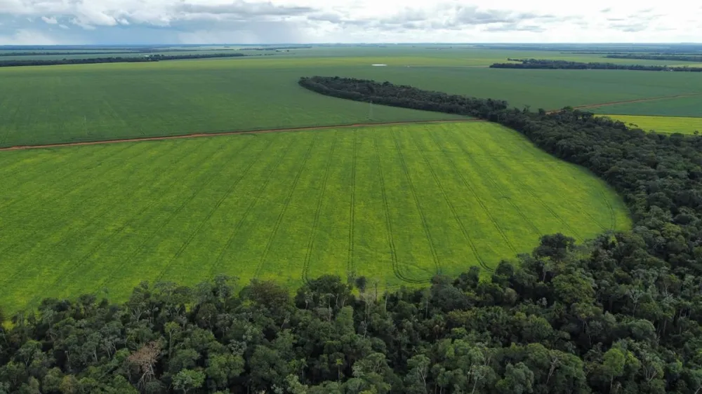 Fazenda, 672 hectares - Foto 2