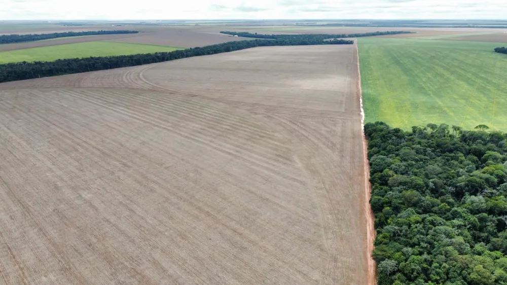 Fazenda, 672 hectares - Foto 6