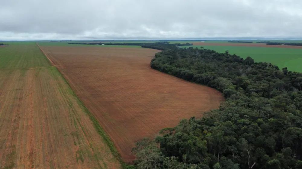 Fazenda, 672 hectares - Foto 3