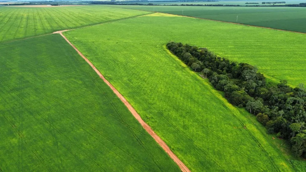 Fazenda, 672 hectares - Foto 1