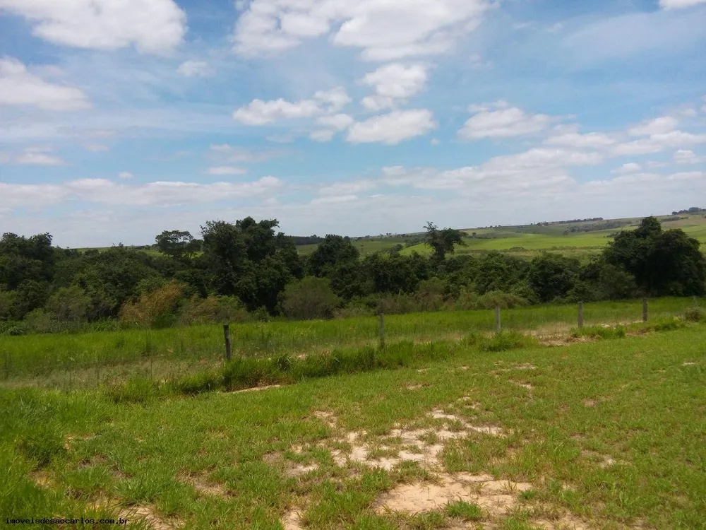 Sítio, 2 quartos, 12 hectares - Foto 12