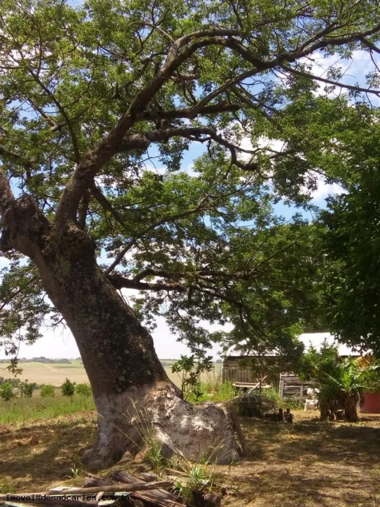 Sítio, 2 quartos, 12 hectares - Foto 4
