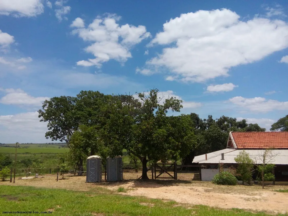 Sítio, 2 quartos, 12 hectares - Foto 1