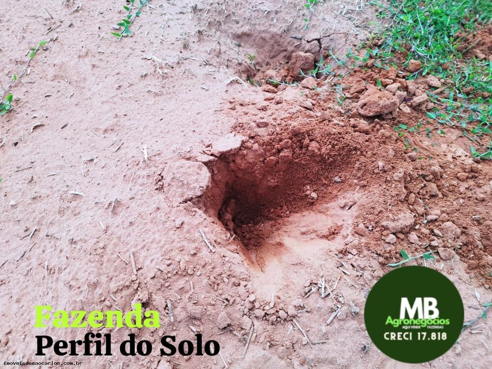 Fazenda, 340 hectares - Foto 7