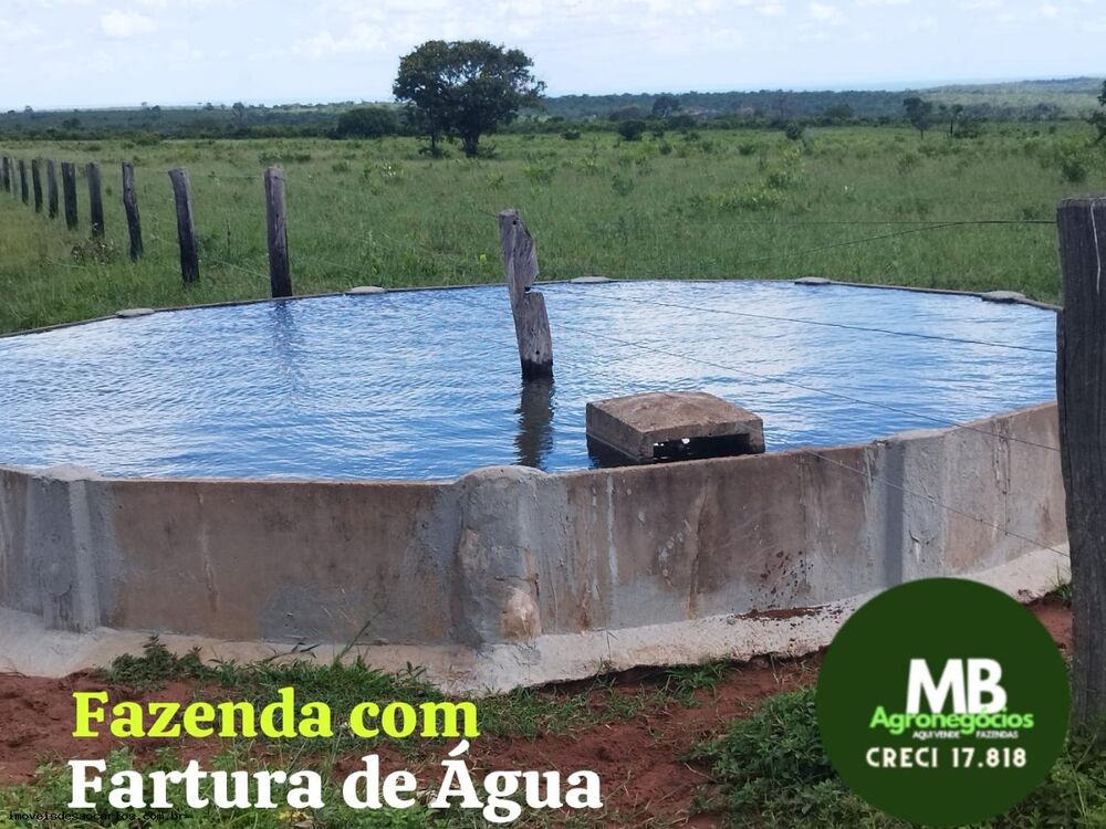 Fazenda, 340 hectares - Foto 5