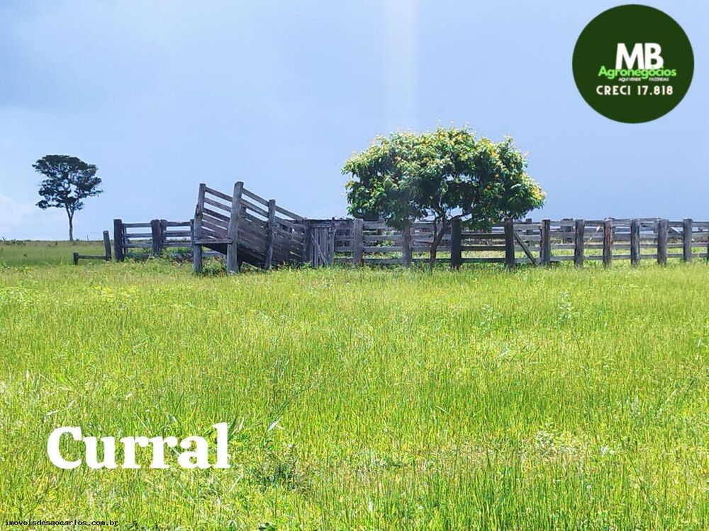 Fazenda, 340 hectares - Foto 1