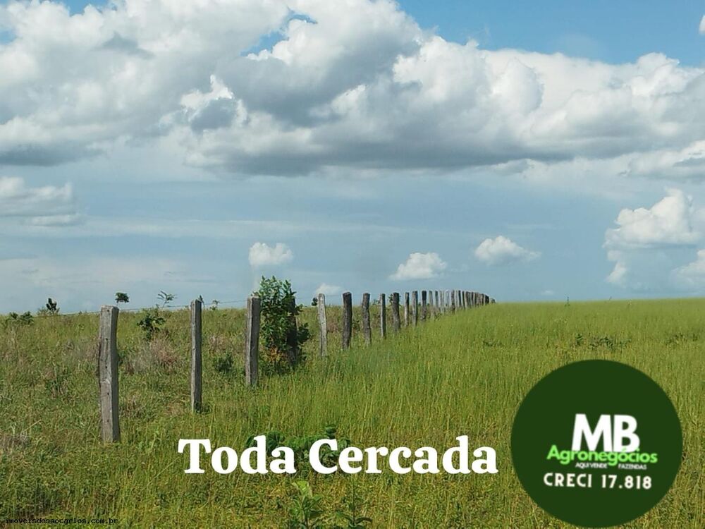 Fazenda, 340 hectares - Foto 2