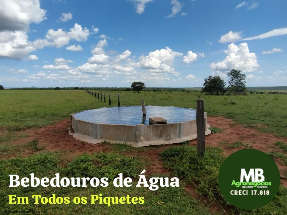 Fazenda, 340 hectares - Foto 4