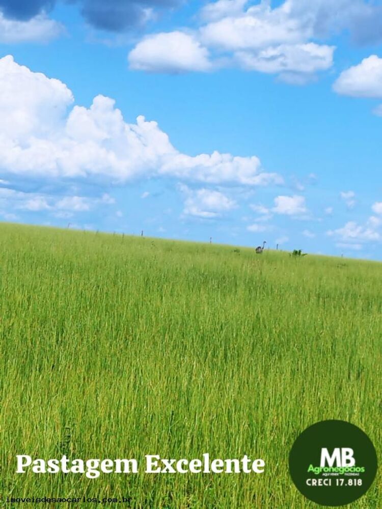 Fazenda, 340 hectares - Foto 6