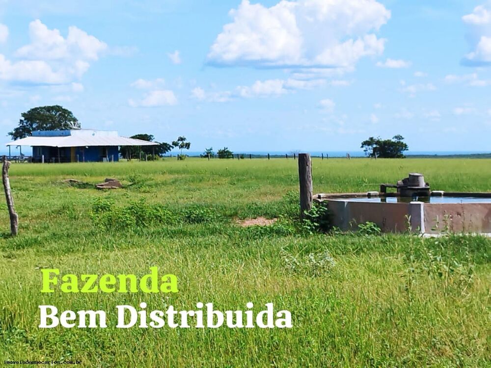Fazenda, 340 hectares - Foto 8