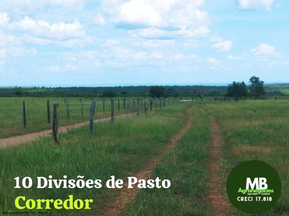Fazenda, 340 hectares - Foto 3