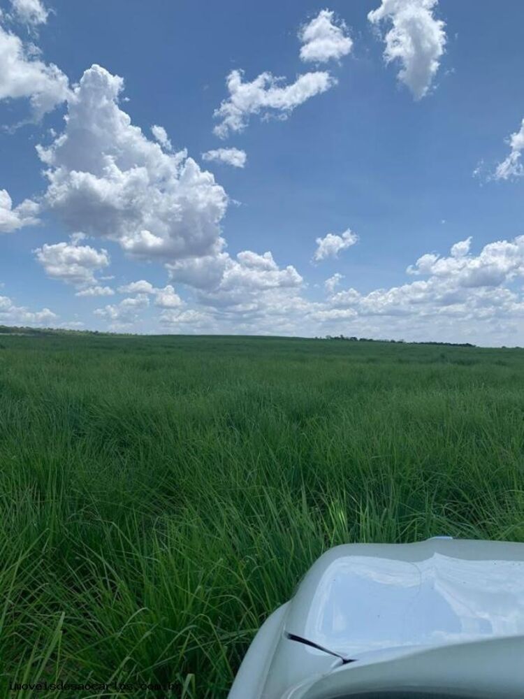 Fazenda, 1822 hectares - Foto 4