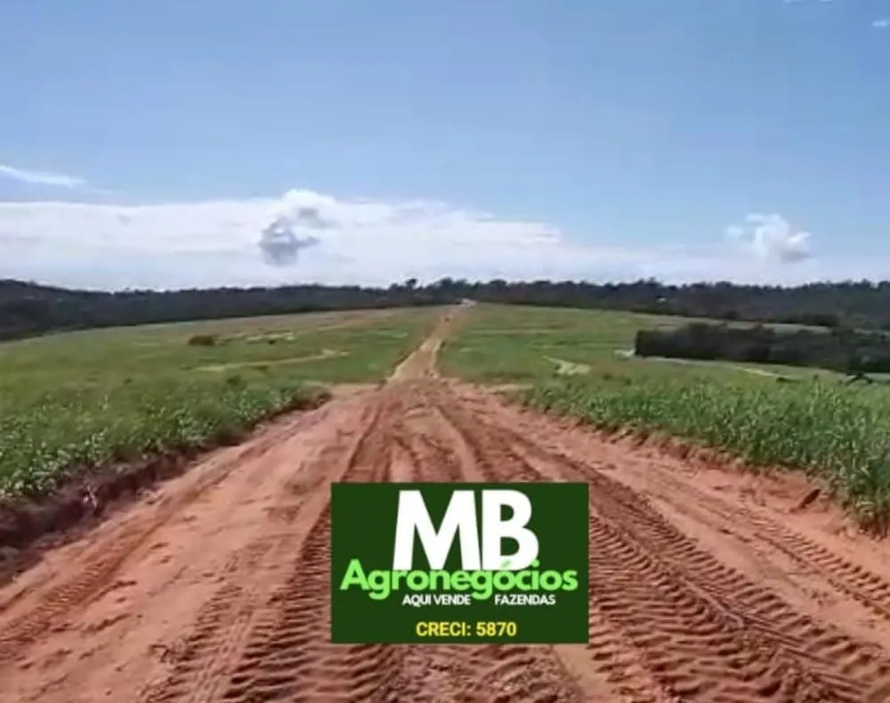 Fazenda, 400 hectares - Foto 2