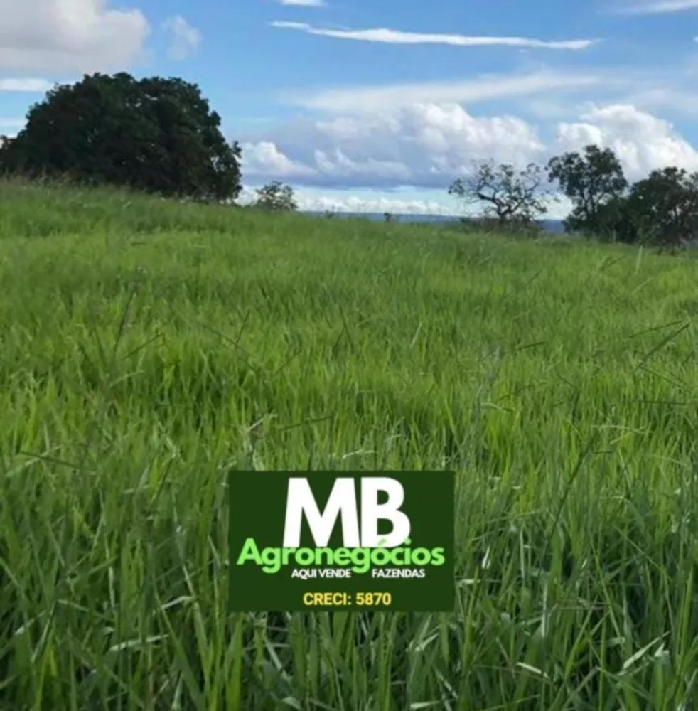 Fazenda, 400 hectares - Foto 4