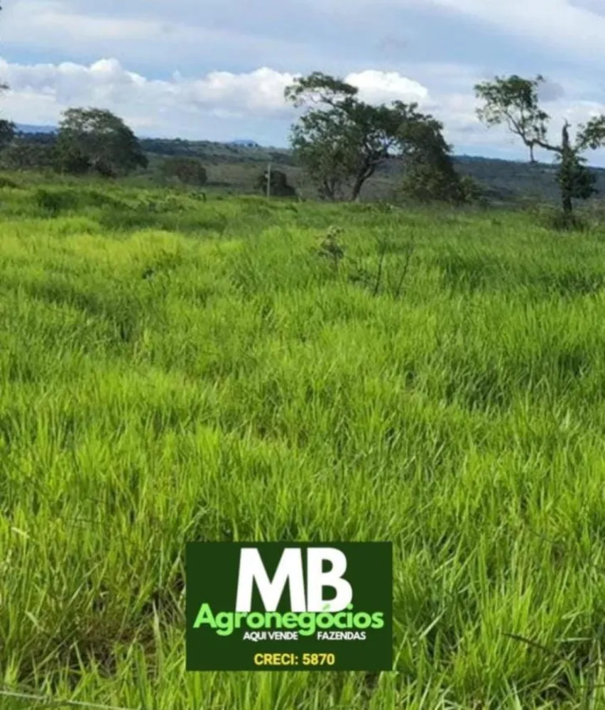 Fazenda, 400 hectares - Foto 7