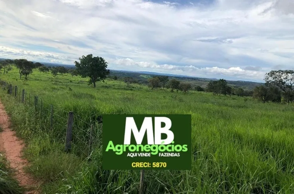 Fazenda, 400 hectares - Foto 6