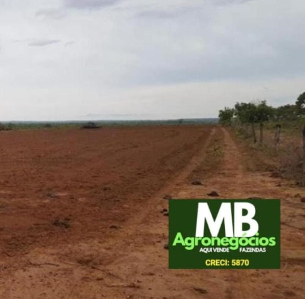 Fazenda, 620 hectares - Foto 3