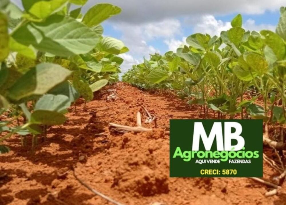 Fazenda, 620 hectares - Foto 5