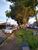 Terreno, 1217 m² - Foto 6