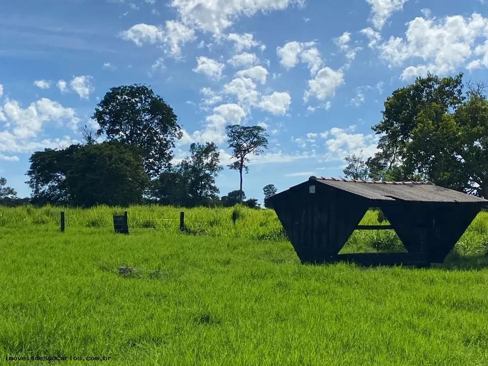 Fazenda, 722 hectares - Foto 1