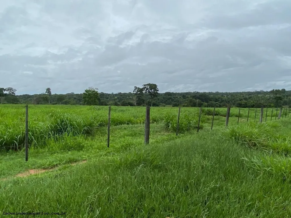 Fazenda, 722 hectares - Foto 4