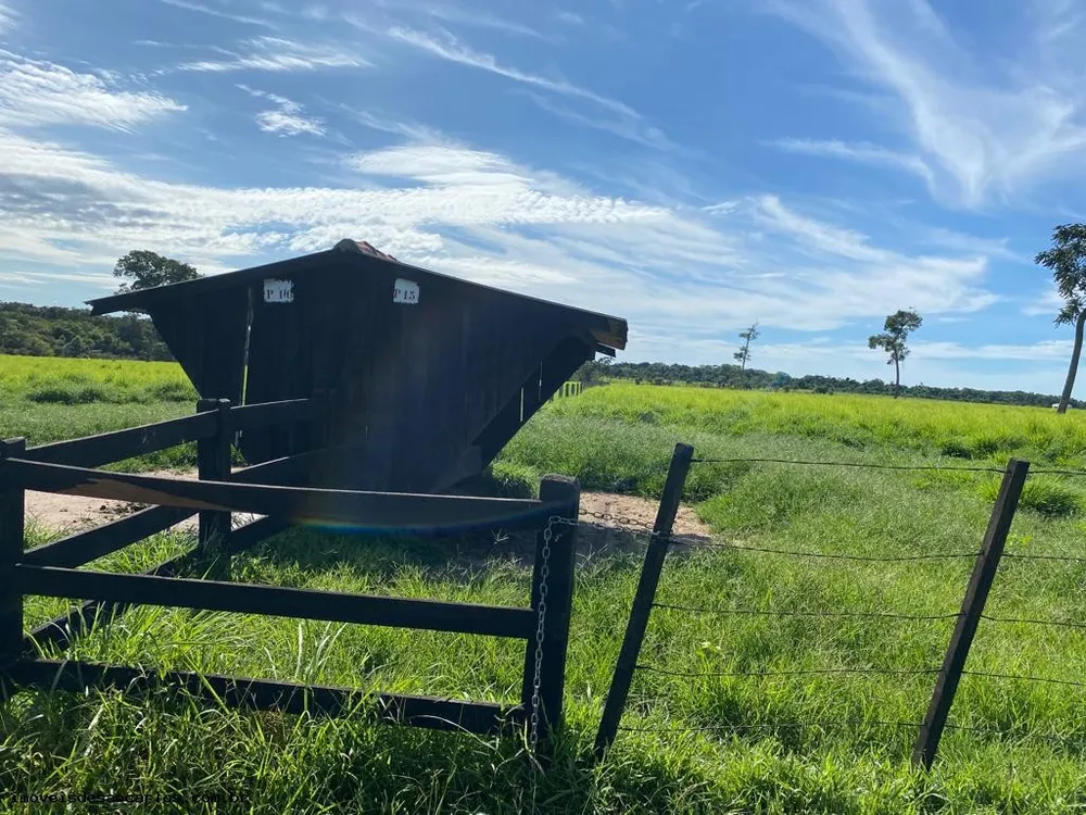 Fazenda, 722 hectares - Foto 3