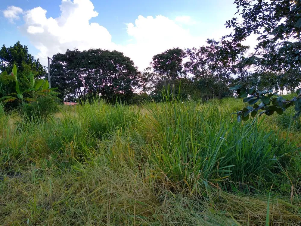 Terreno, 1033 m² - Foto 8