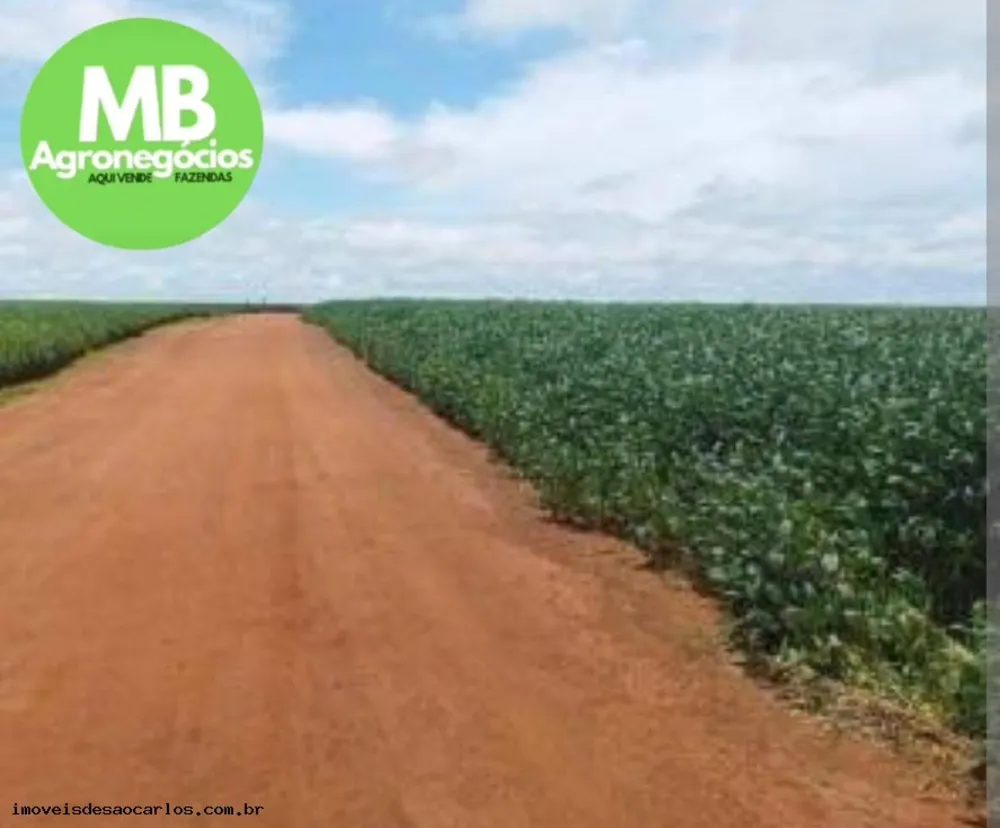 Fazenda, 723 hectares - Foto 11