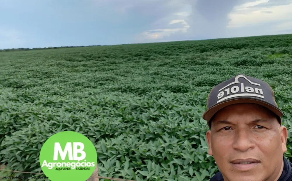Fazenda, 723 hectares - Foto 16