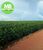 Fazenda, 723 m² - Foto 8