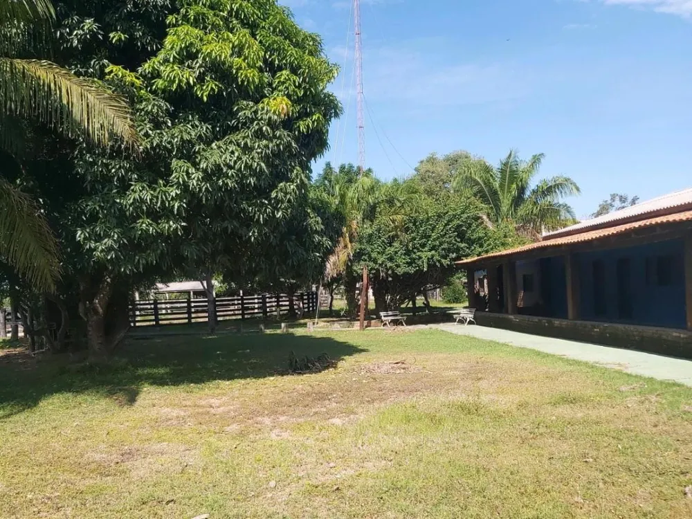 Fazenda, 1200 hectares - Foto 3