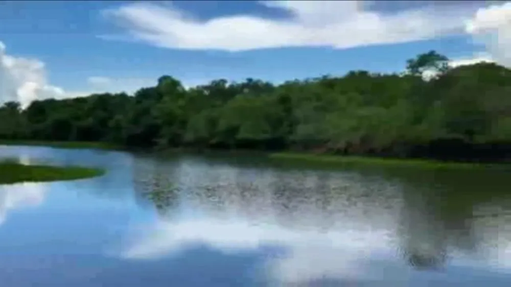 Fazenda, 1200 hectares - Foto 12