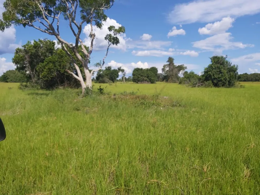 Fazenda, 1200 hectares - Foto 2