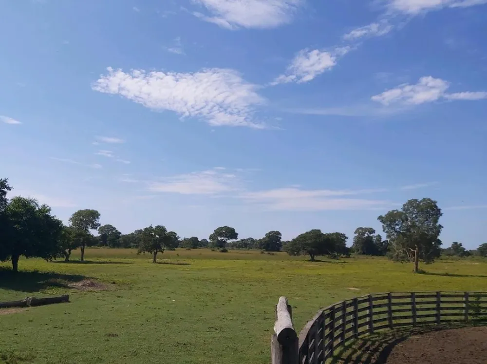 Fazenda, 1200 hectares - Foto 9
