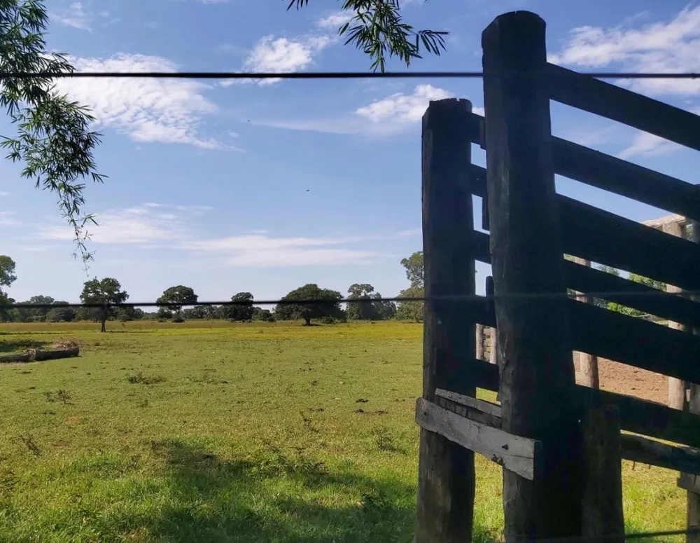Fazenda, 1200 hectares - Foto 10
