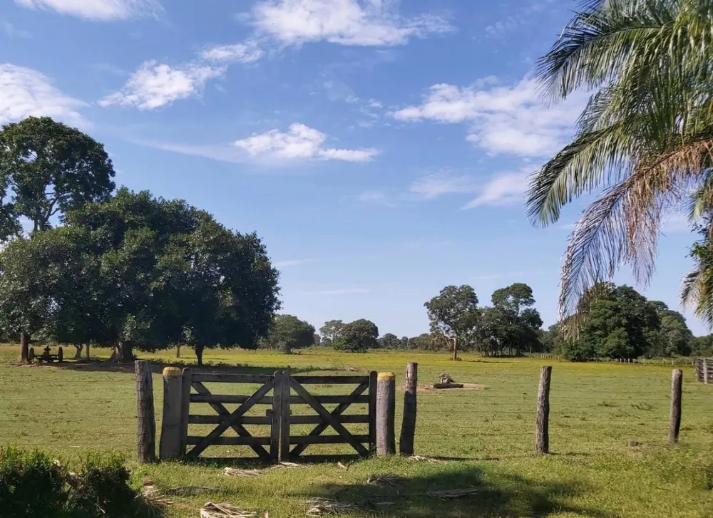 Fazenda, 1200 hectares - Foto 8